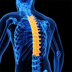 Peripheral Nerve Blocks